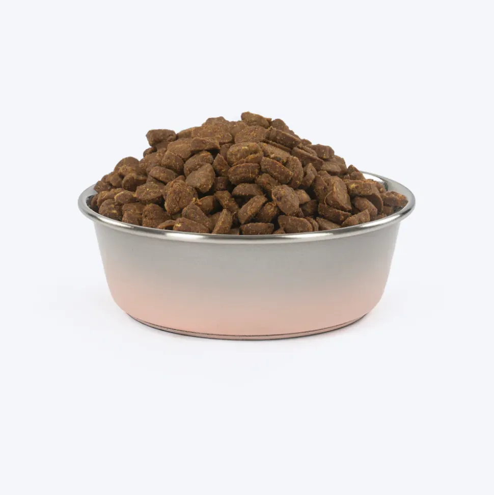 HUFT Tiny Tails Printed Steel Bowl For Puppy - Pink & Grey