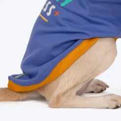 HUFT Wag More Worry Less Colour Block Hoodie Pet Sweatshirt - Blue