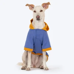 HUFT Wag More Worry Less Colour Block Hoodie Pet Sweatshirt - Blue