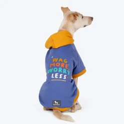 HUFT Wag More Worry Less Colour Block Hoodie Pet Sweatshirt - Blue