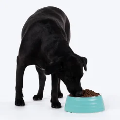 HUFT Waves Embossed Melamine Bowl For Dogs - Aqua