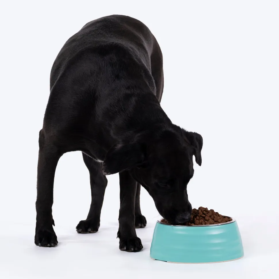 HUFT Waves Embossed Melamine Bowl For Dogs - Aqua