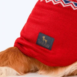 HUFT Winter Miracle Sweater For Dogs - Red & Blue