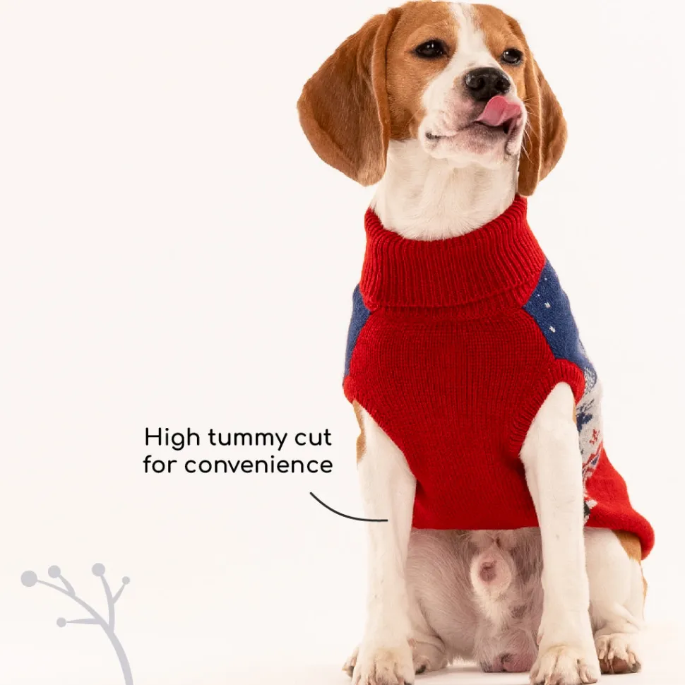 HUFT Winter Miracle Sweater For Dogs - Red & Blue