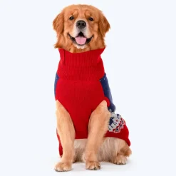 HUFT Winter Miracle Sweater For Dogs - Red & Blue