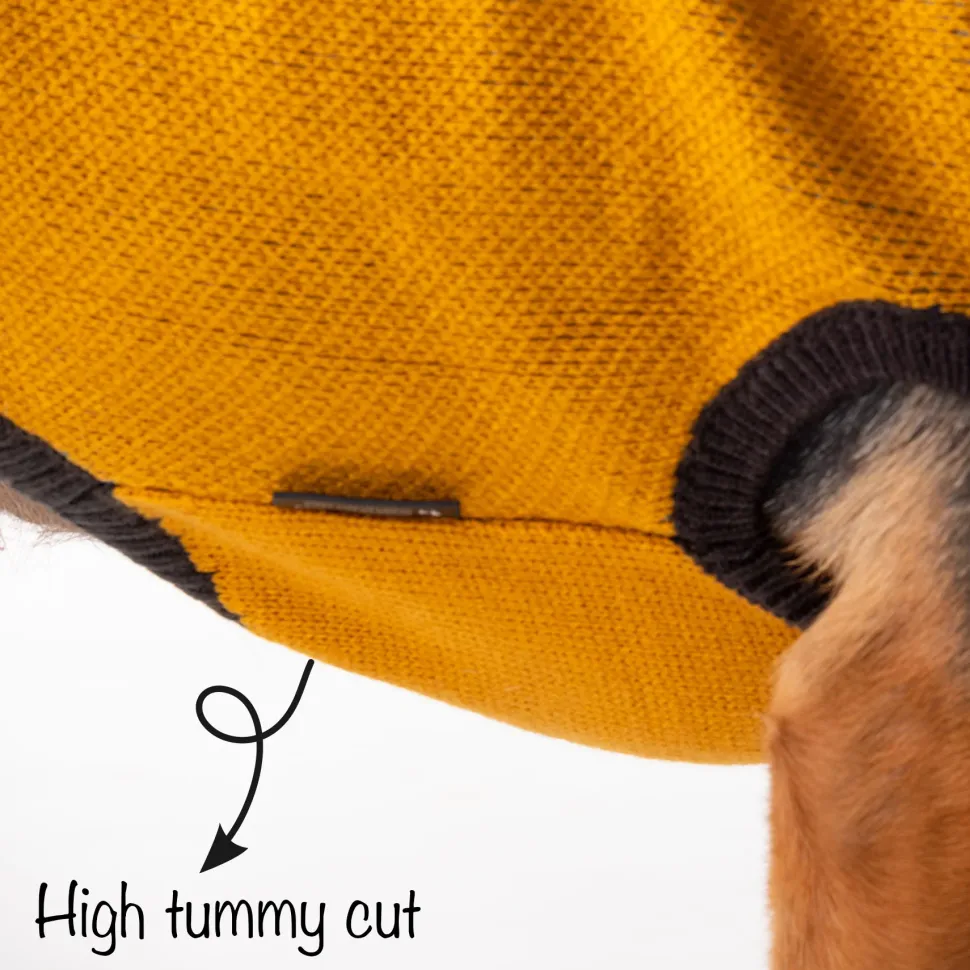 HUFT Winter Snugglers Dog Sweater - Yellow