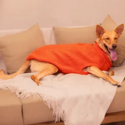 HUFT Winter Spice Sweater For Dog - Orange