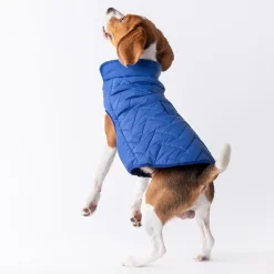 HUFT Wintersong Corduroy Reversible Dog Jacket - Blue