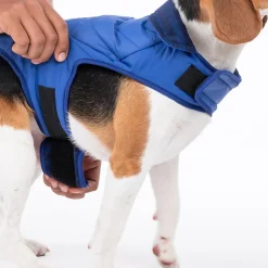 HUFT Wintersong Corduroy Reversible Dog Jacket - Blue
