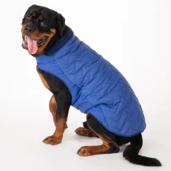 HUFT Wintersong Corduroy Reversible Dog Jacket - Blue