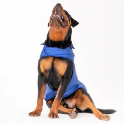 HUFT Wintersong Corduroy Reversible Dog Jacket - Blue