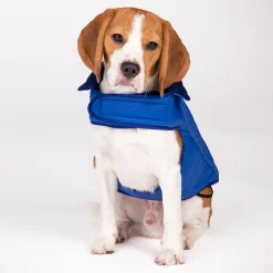 HUFT Wintersong Corduroy Reversible Dog Jacket - Blue