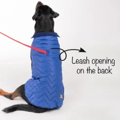 HUFT Wintersong Corduroy Reversible Dog Jacket - Blue