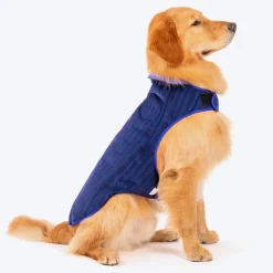HUFT Wintersong Corduroy Reversible Dog Jacket - Blue
