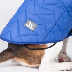 HUFT Wintersong Corduroy Reversible Dog Jacket - Blue