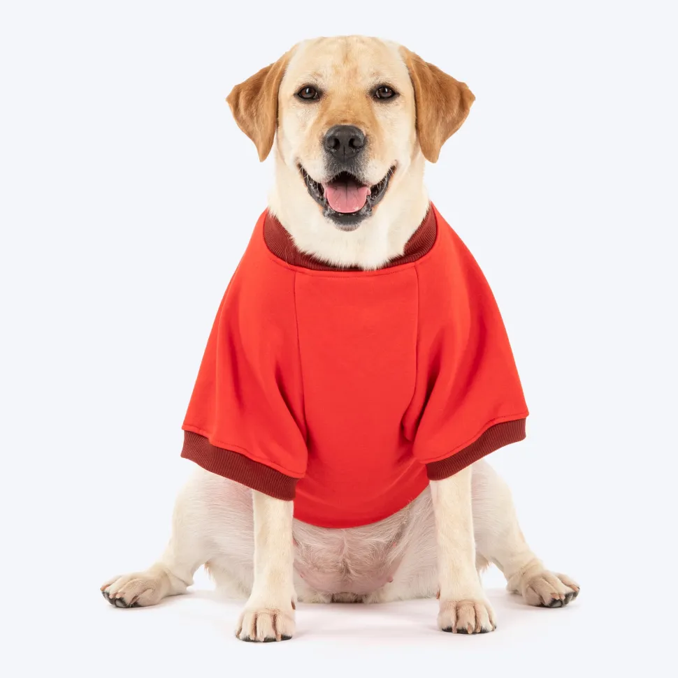 HUFT Woof Squad Sweatshirt For Dog - Red