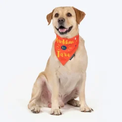 HUFT Aankhon Ka Tara Bandana For Dog - Orange