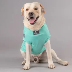 HUFT Adopted And Adored T-shirt For Dog - Light Blue