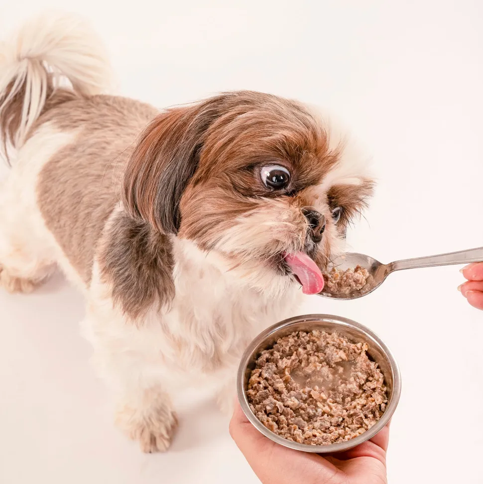 HUFT All Day Muesli with Chicken, Carrots and Beetroot Doggie Treats - 250 g