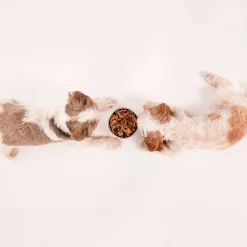 HUFT All Day Muesli with Chicken, Carrots and Beetroot Doggie Treats - 250 g