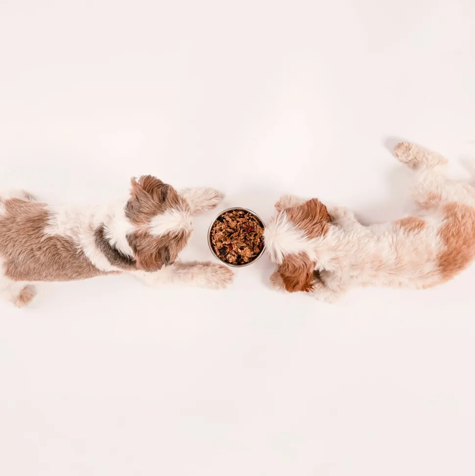 HUFT All Day Muesli with Chicken, Carrots and Beetroot Doggie Treats - 250 g