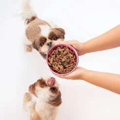 HUFT All Day Muesli with Strawberry, Blueberry and Cranberry Doggie Treats - 250 g