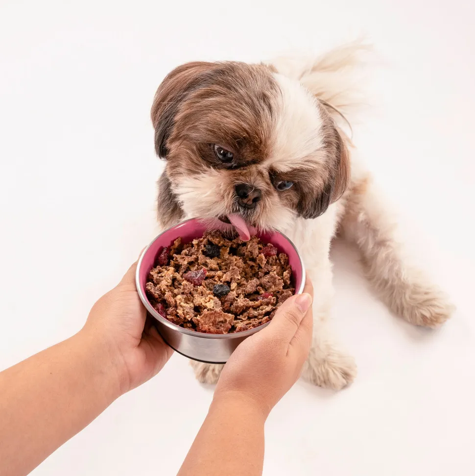 HUFT All Day Muesli with Strawberry, Blueberry and Cranberry Doggie Treats - 250 g