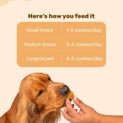 HUFT All In One Goat Milk Cookies Combo
