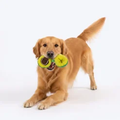 HUFT Avocadoggo Plush Toy With Ball For Dog - Green