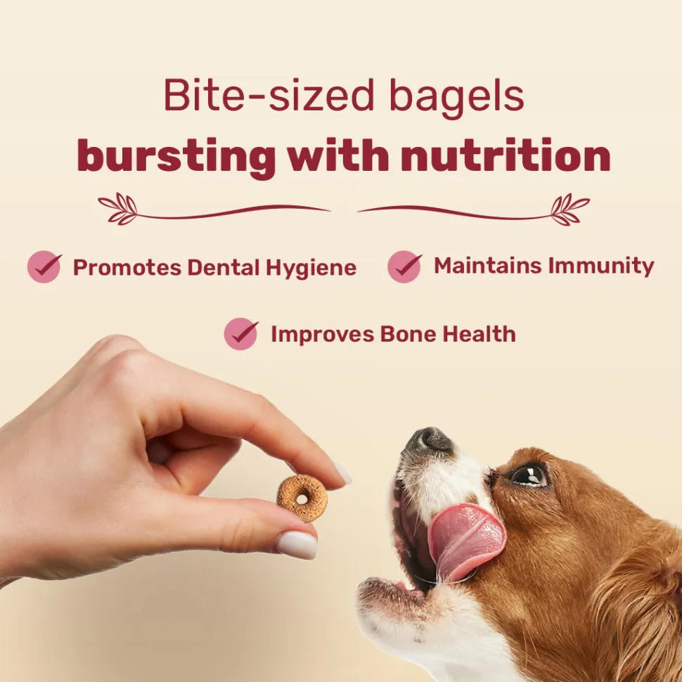 HUFT Bagel Bites Made With Real Chicken & Ham Treat For Dog - 140 gm