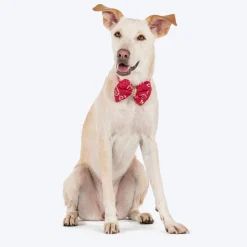 HUFT Bandhani Breeze Bowtie With Strap For Dog - Red