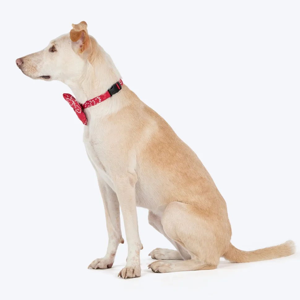 HUFT Bandhani Breeze Bowtie With Strap For Dog - Red