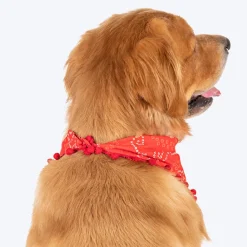 HUFT Bandhani Breeze Knot Bandana For Dog - Red