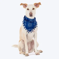 HUFT Bandhani Breeze Knot Bandana For Dog - Blue