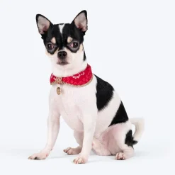 HUFT Bandhani Breeze Scarf For Dog & Cat - Red
