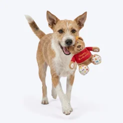 HUFT Barkday Bear Plush Toy For Dog - Multicolor