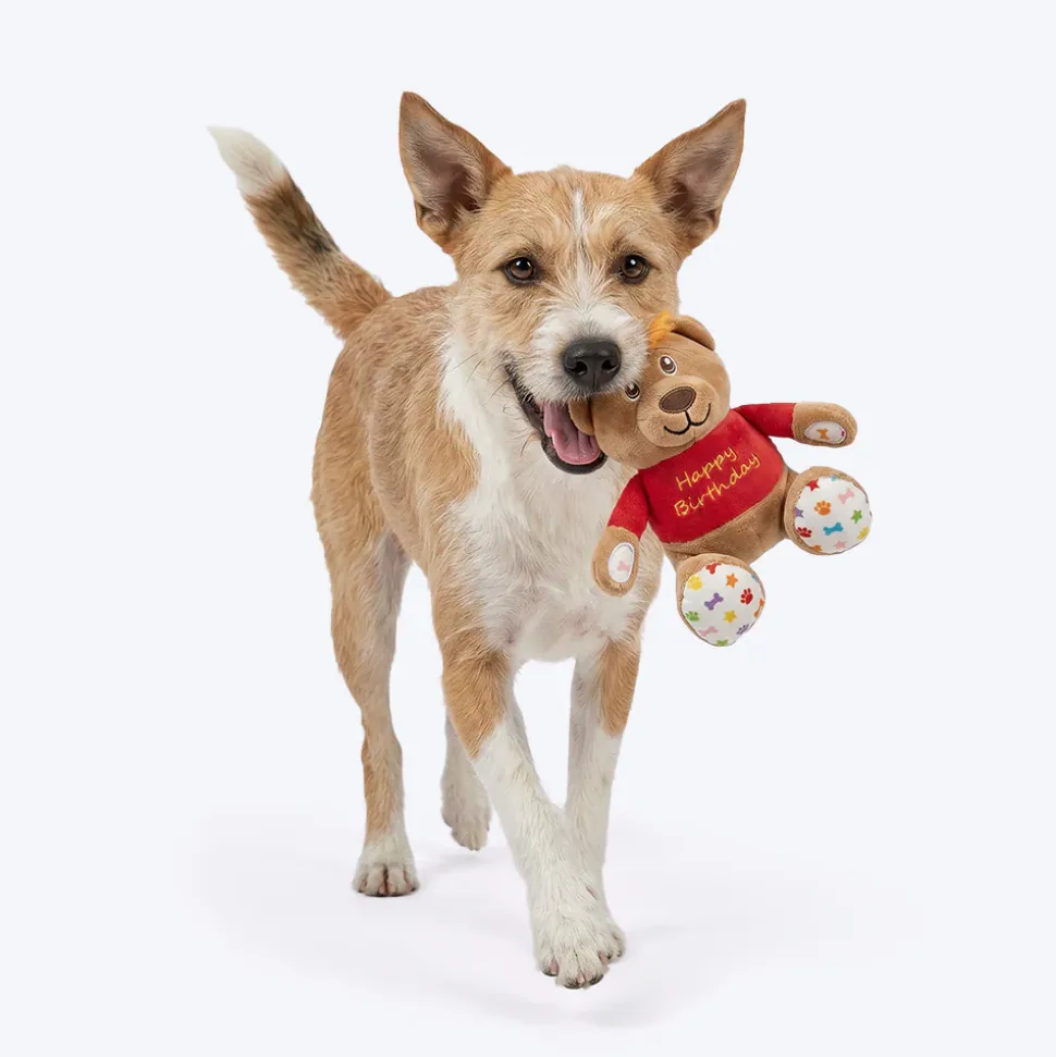 HUFT Barkday Bear Plush Toy For Dog - Multicolor