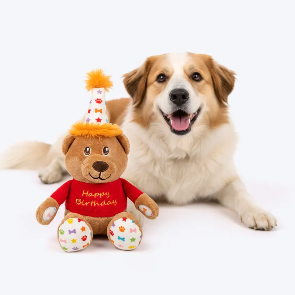 HUFT Barkday Bear Plush Toy For Dog - Multicolor