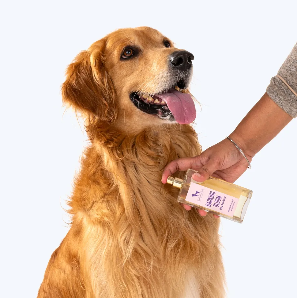 HUFT Barking Bloom Dog Perfume (Over 12 Weeks) - 100 ml