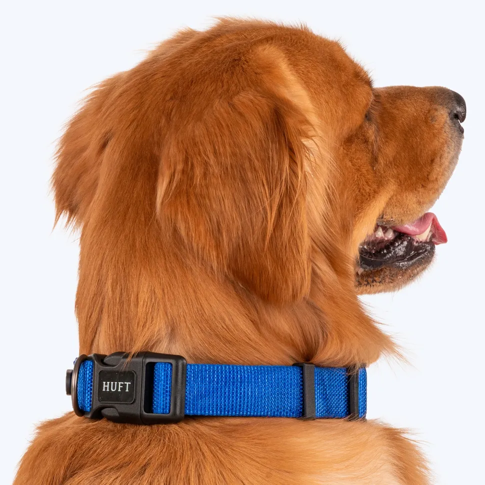 HUFT Basics Dog Collar - Cobalt Blue