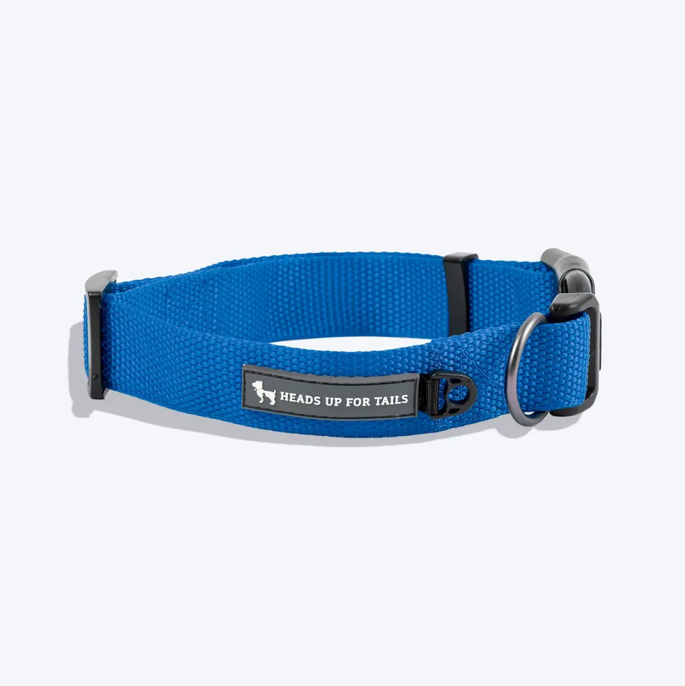 HUFT Basics Dog Collar - Cobalt Blue