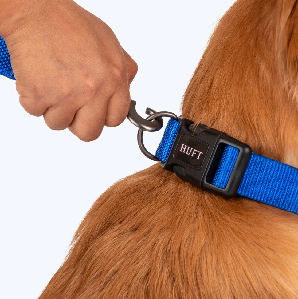 HUFT Basics Dog Collar - Cobalt Blue