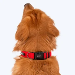 HUFT Basics Dog Collar - Crimson Red