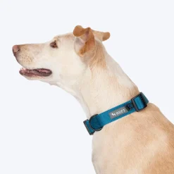 HUFT Basics Dog Collar - Teal Blue