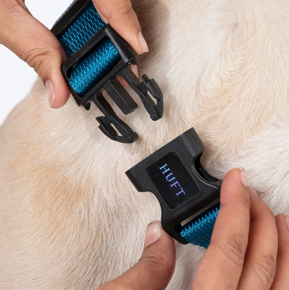HUFT Basics Dog Collar - Teal Blue
