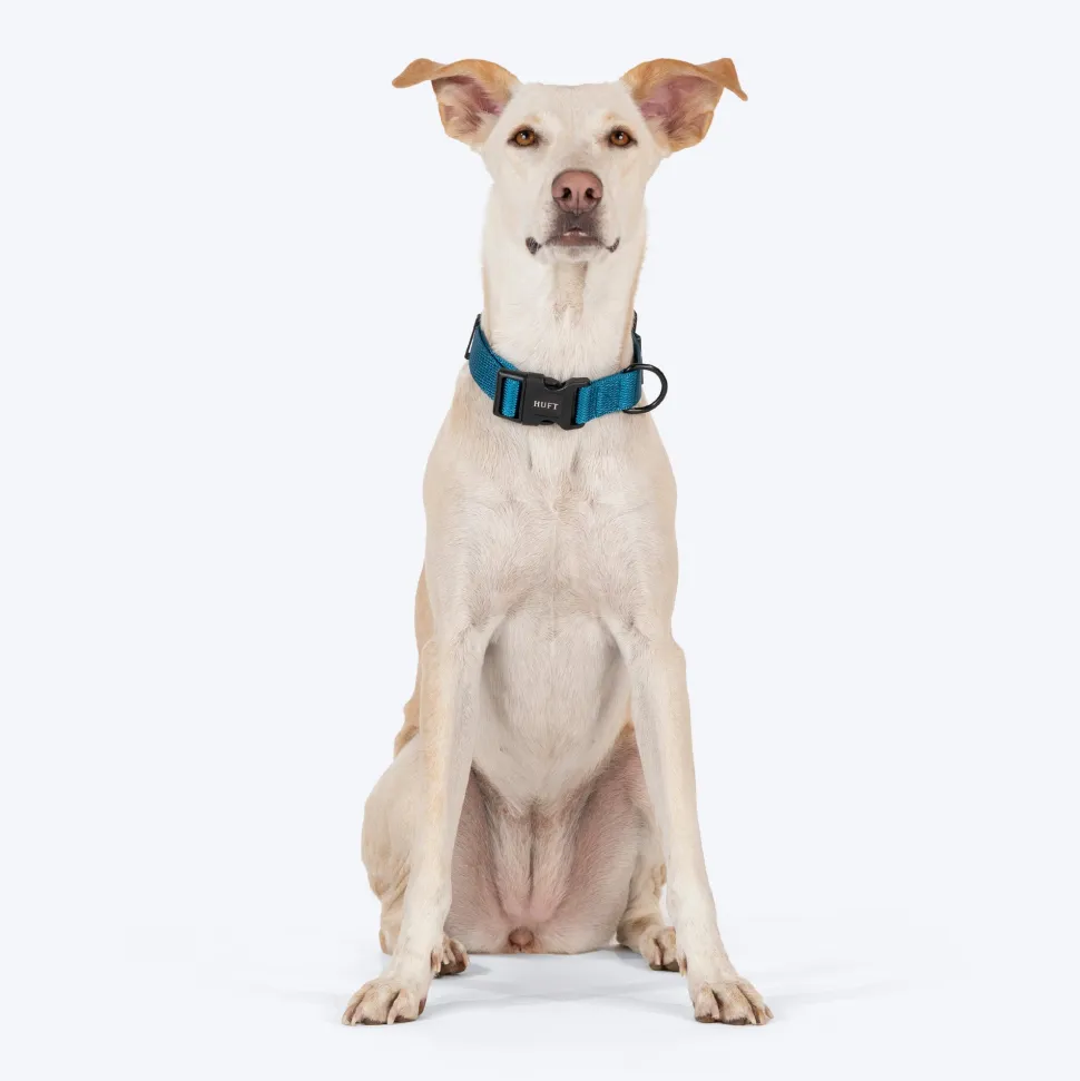 HUFT Basics Dog Collar - Teal Blue