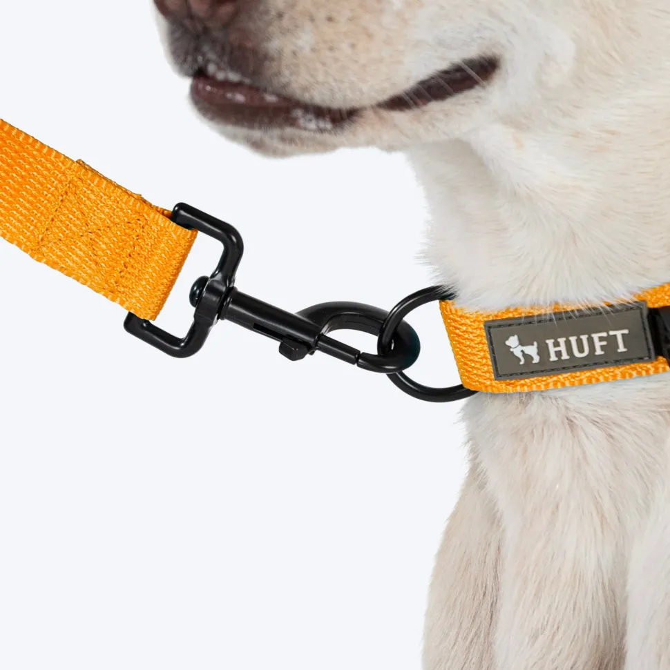 HUFT Basics Dog Collar - Yellow