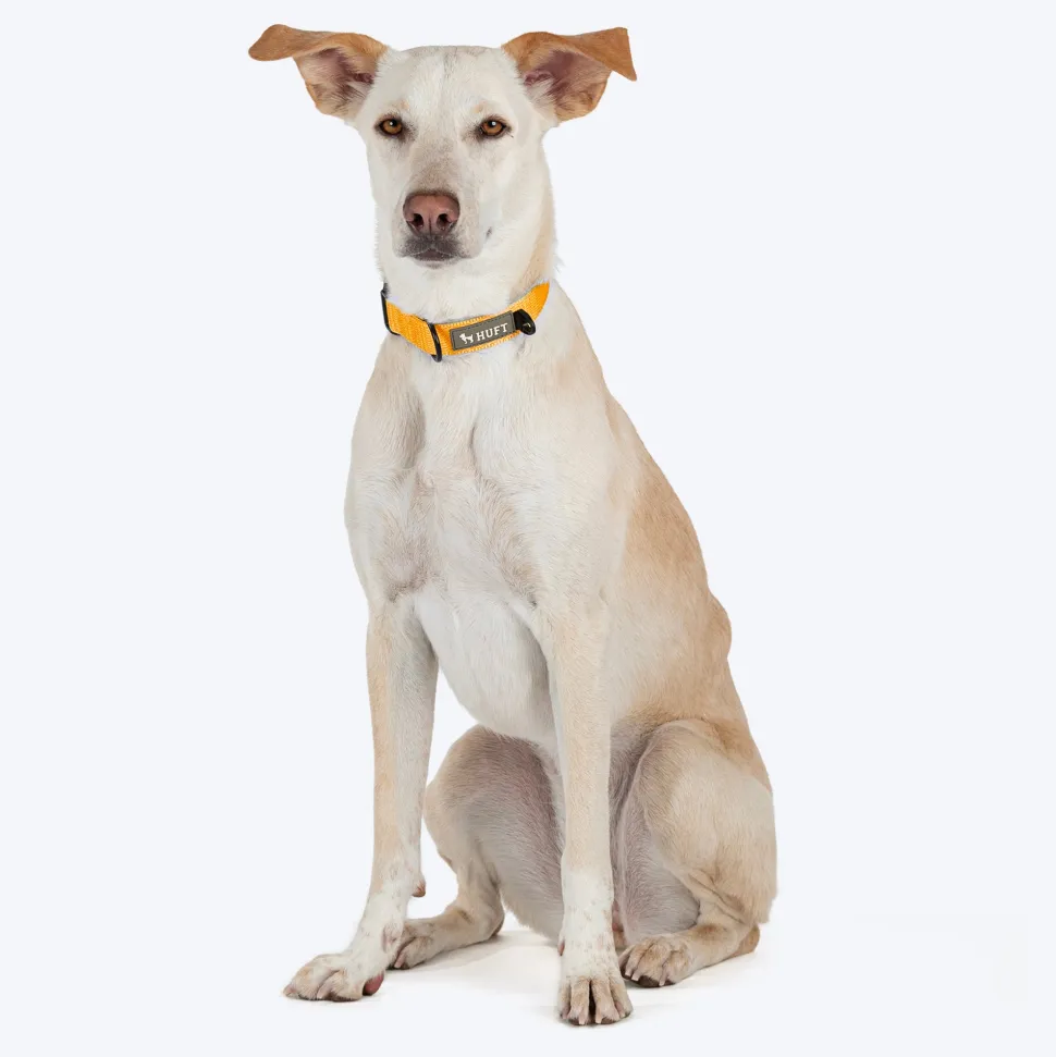 HUFT Basics Dog Collar - Yellow