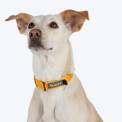 HUFT Basics Dog Collar - Yellow