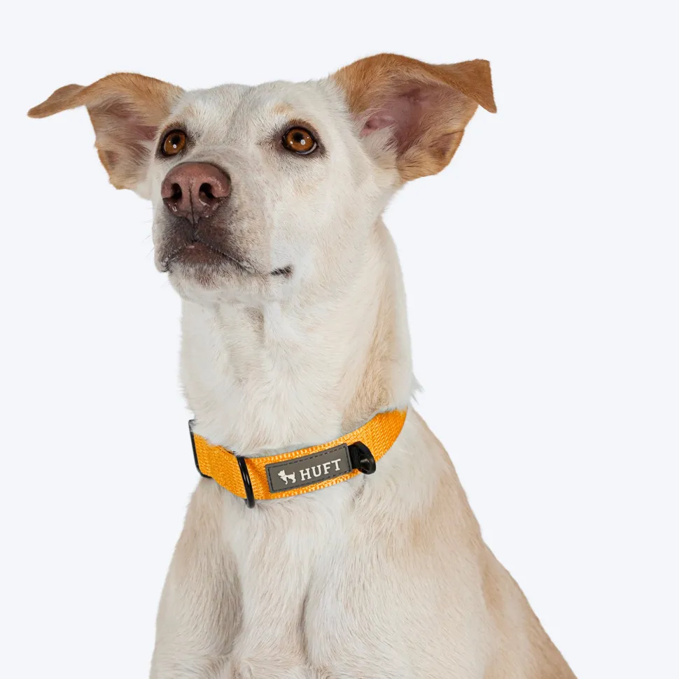 HUFT Basics Dog Collar - Yellow